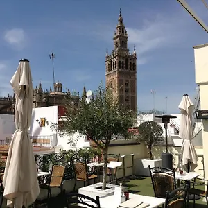 מלון Palacio Alcazar, סביליה